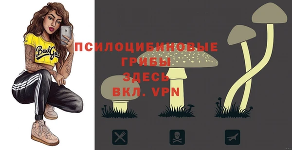 не бодяженный Алексин
